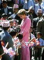 Diana In Nepal  - princess-diana photo