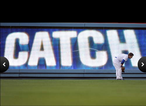  vlaamse gaai, jay Gibbons Makes a Great Catch