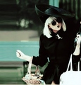 Lady Gaga♥ - lady-gaga photo