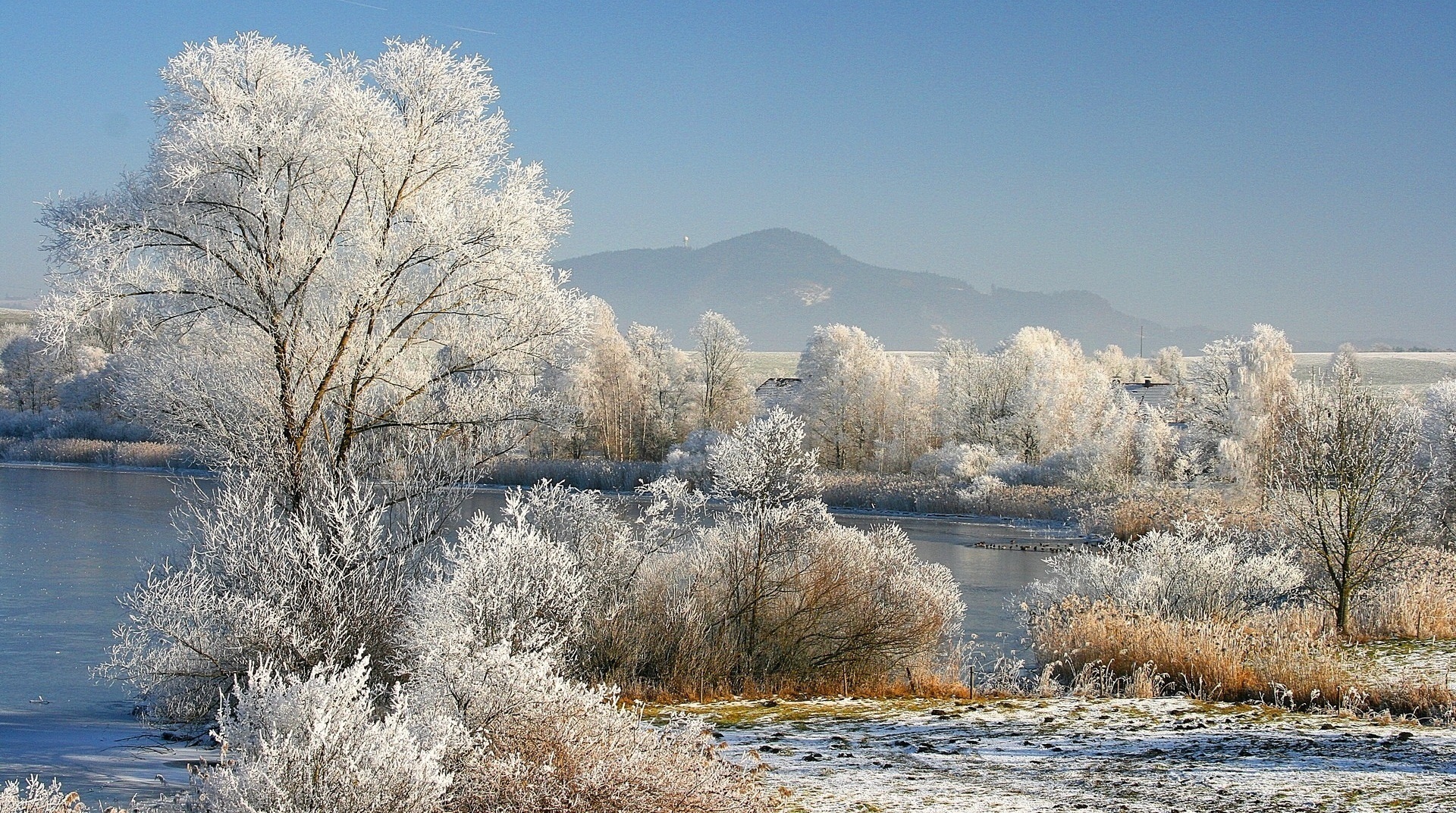Trees in winter - Nature's Seasons Photo (22173946) - Fanpop