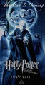 Death Eaters! - harry-potter photo