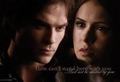 Delena!!! - the-vampire-diaries-couples photo
