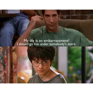  Friends&Harry Potter