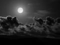 Full Moon - moon photo