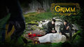 Grimm - grimm photo