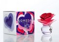 Justin Bieber new perfume called Someday. - justin-bieber photo