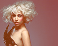 Lady Gaga <3 - lady-gaga photo