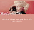 MM - marilyn-monroe fan art