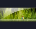 green - Windows Vista wallpaper
