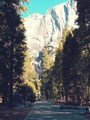 Yosemite National Park, Calif.  ♥ - photography photo