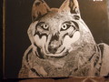 scratch art wolf  - alpha-and-omega fan art