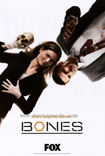  BONES（ボーンズ）-骨は語る- Poster