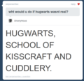 Hugwarts school!! - harry-potter-vs-twilight photo
