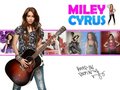 MIley fan pts - miley-cyrus photo