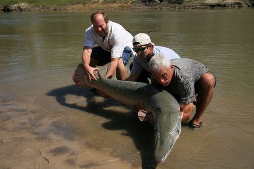  River Monsters