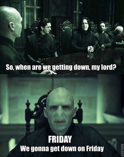  VOLDY