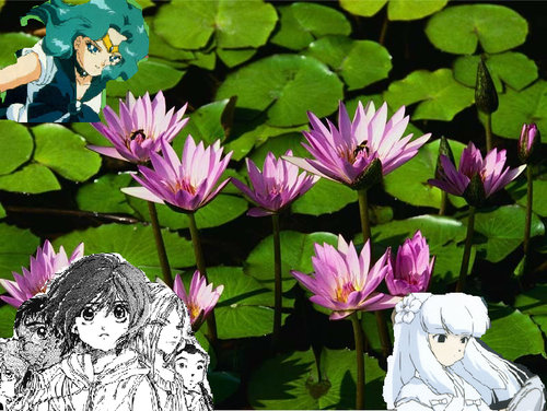  お花 of hope