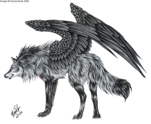  winged wolfy