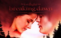 Breaking Dawn wallpaper - twilight-series wallpaper