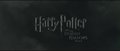 harry-potter - Harry Potter And The Deathly Hallows (Part 1)  screencap