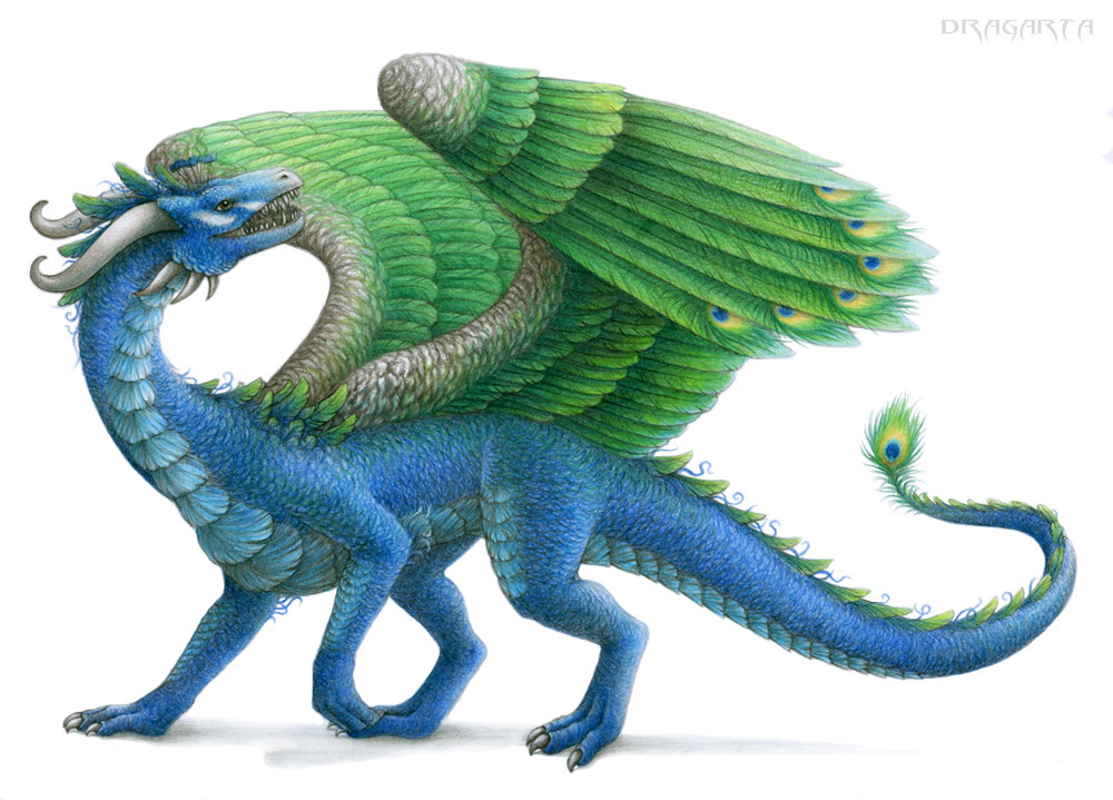 Peacock Dragon - Dragons Photo (22473230) - Fanpop