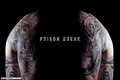 Prison Break - prison-break photo