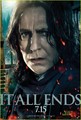 'Harry Potter' Posters -- The Villians - harry-potter photo