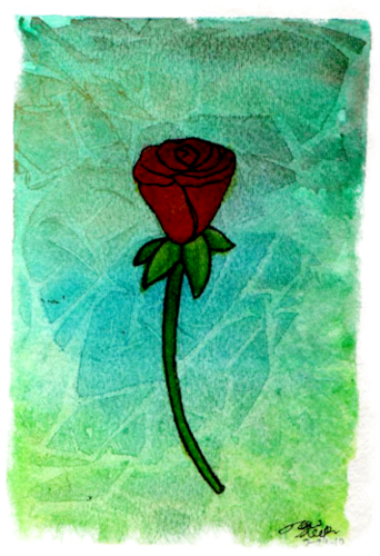 A Single Rose