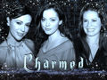 charmed - Charmed Wallpaperღ  wallpaper