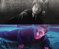 Harry James Potter. - harry-potter photo