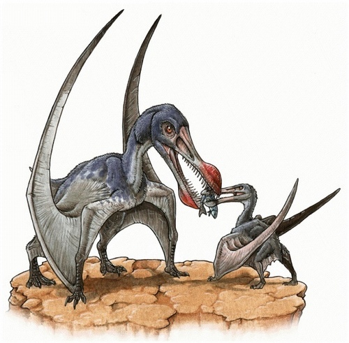  Ornithocheirus
