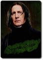 Severus Snape Character Card - severus-snape fan art