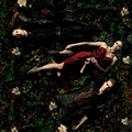 TVD promo - the-vampire-diaries-tv-show photo