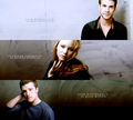 The Hunger Games ♥ - the-hunger-games photo