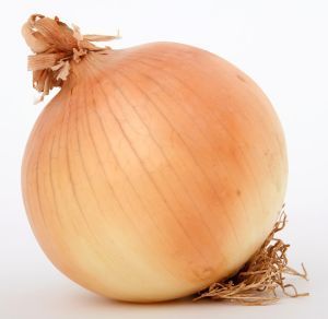 The ORIGINAL Onion