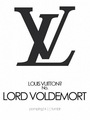 Louis Vuitton? - harry-potter-vs-twilight photo