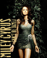 Miley Cyrus Can't Be Tamed Photo Shoot Manip - miley-cyrus photo