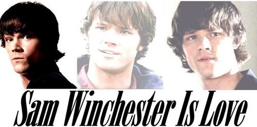 Sam Winchester is amor