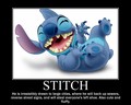 Stitch - random photo