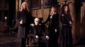 The Malfoys in DH - harry-potter photo