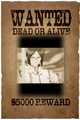 Wanted--Uryu Ishida - bleach-anime photo