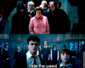 funny ootp - harry-potter photo