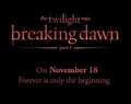 the official tagline for Breaking Dawn Part 1 - twilight-series photo