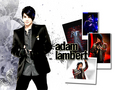 Adam Lambert - adam-lambert photo