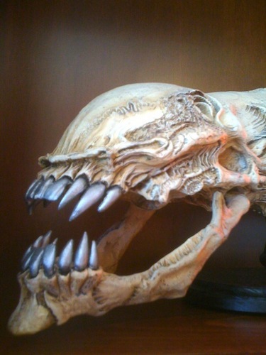  Alien Skull