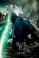 Deathly Hallows Part 2 Action Poster:  Lord Voldemort [HQ] - harry-potter photo