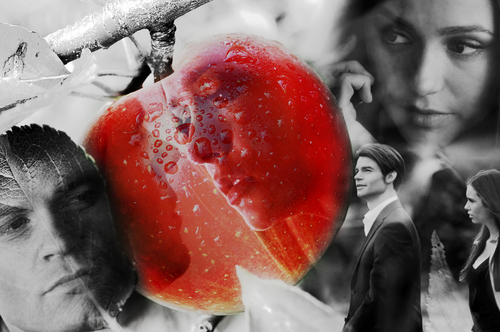 Elijah/Elena - Forbidden Fruit