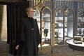 From  Half Blood Prince - harry-potter photo