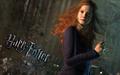 Ginny Deathly Hallows VG Wallpaper - harry-potter photo