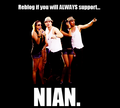 Nina and Ian - ian-somerhalder-and-nina-dobrev fan art